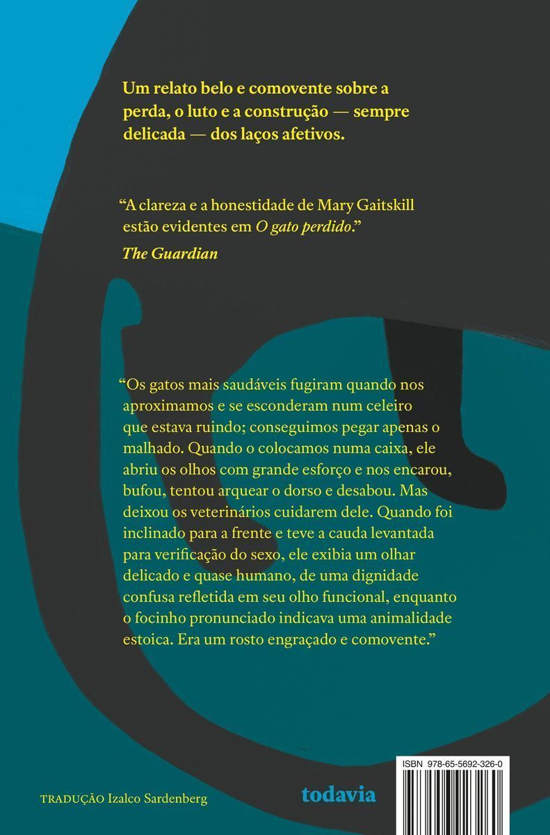 O Gato Perdido