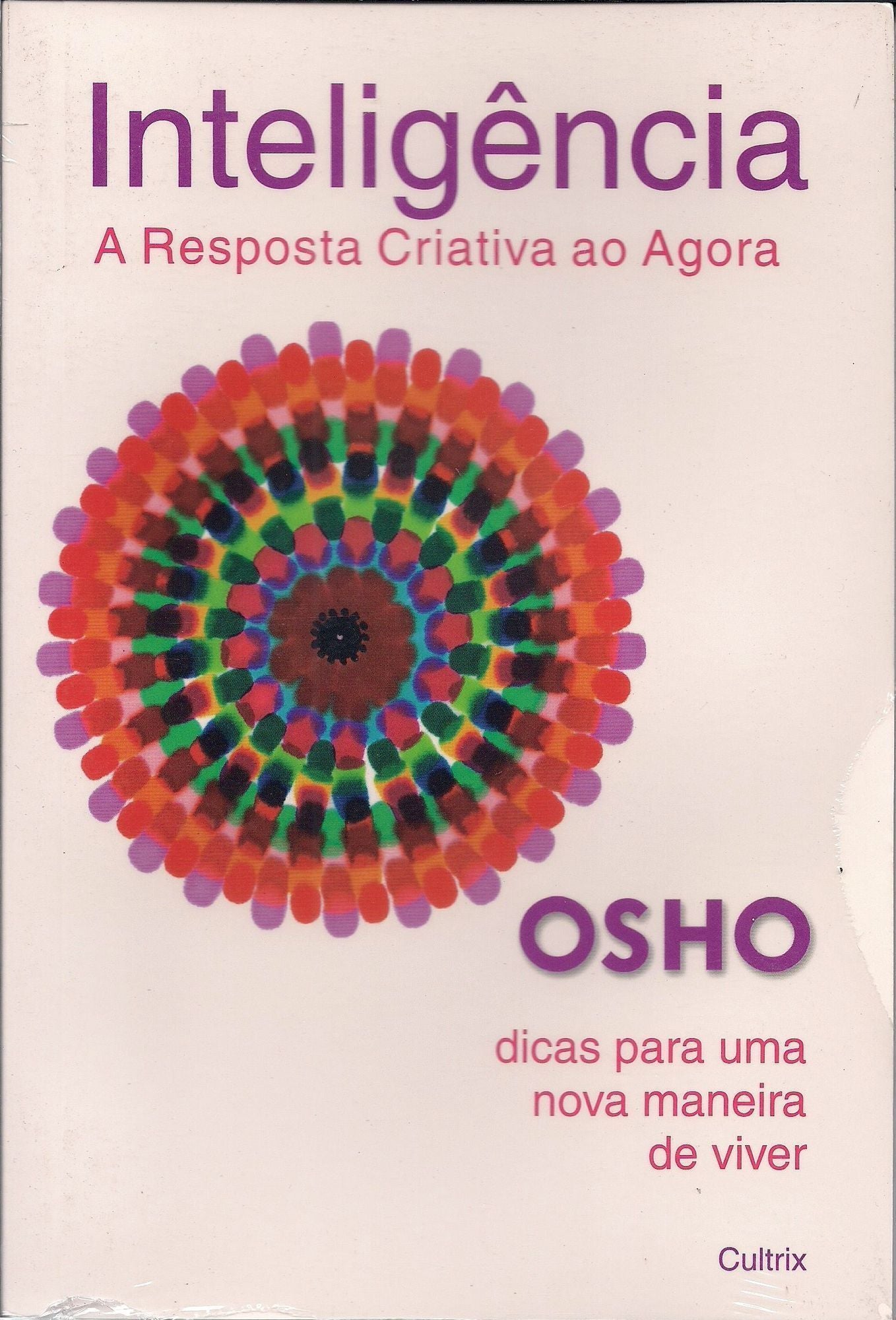 Inteligência - a Resposta Criativa Ao Agora