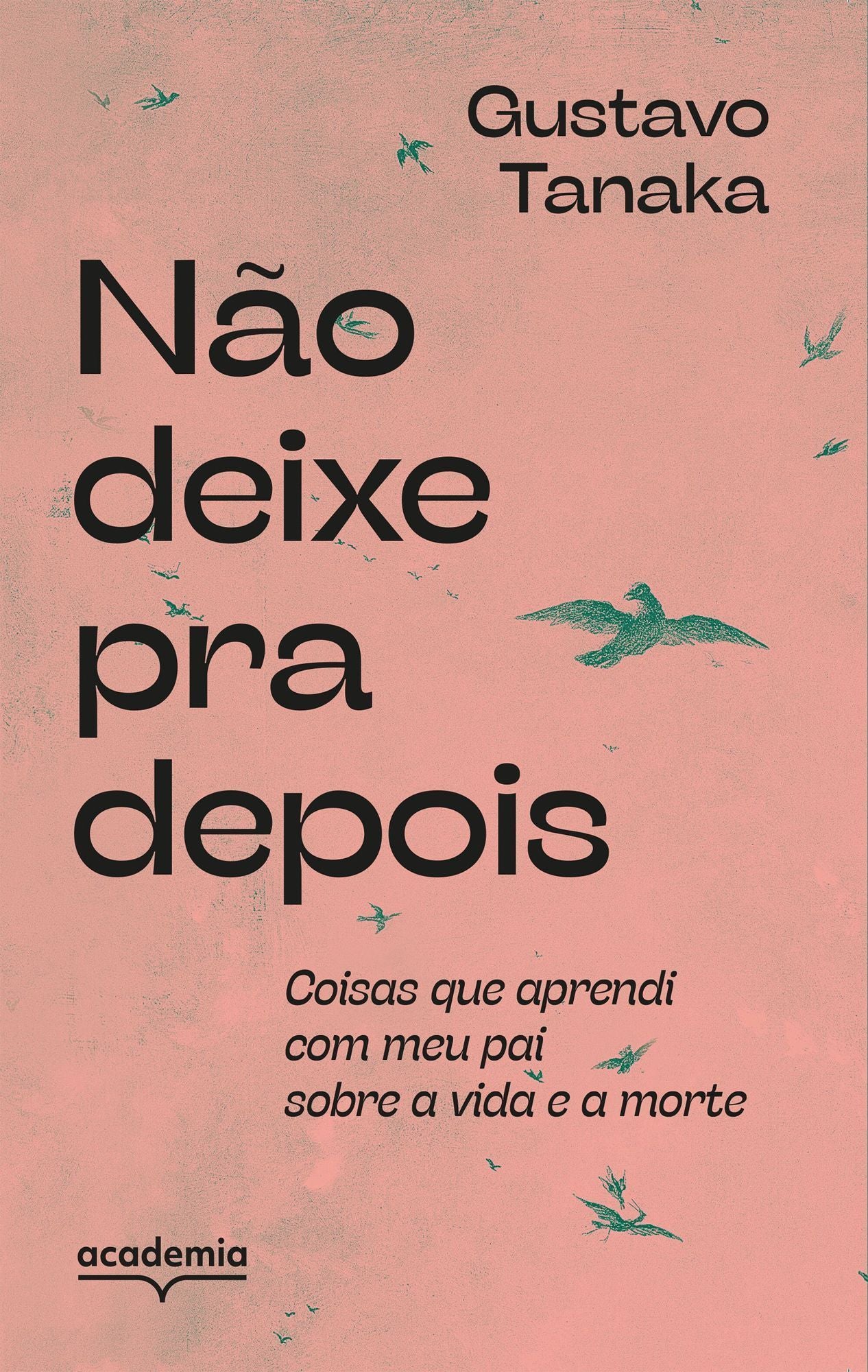 Não Deixe Pra Depois - Coisas Que Aprendi Com Meu Pai Sobre a Vida e a Morte