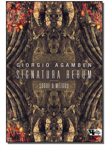 Signatura Rerum - Sobre o Método