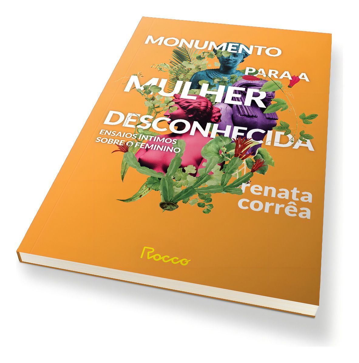 Monumento Para a Mulher Desconhecida - Ensaios Íntimos Sobre o Feminino