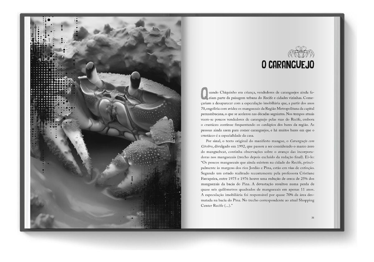 Criança de Domingo - A Biografia de Chico Science