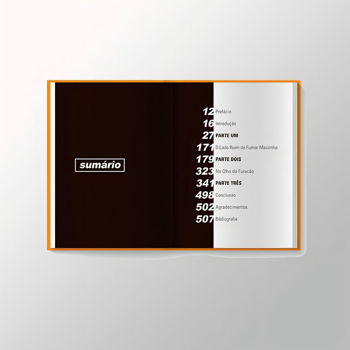 Voando Alto - As Aventuras do Oasis - Edição Especial Limitada Com Brindes