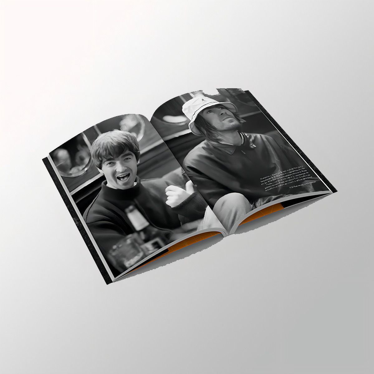 Voando Alto - As Aventuras do Oasis - Edição Especial Limitada Com Brindes