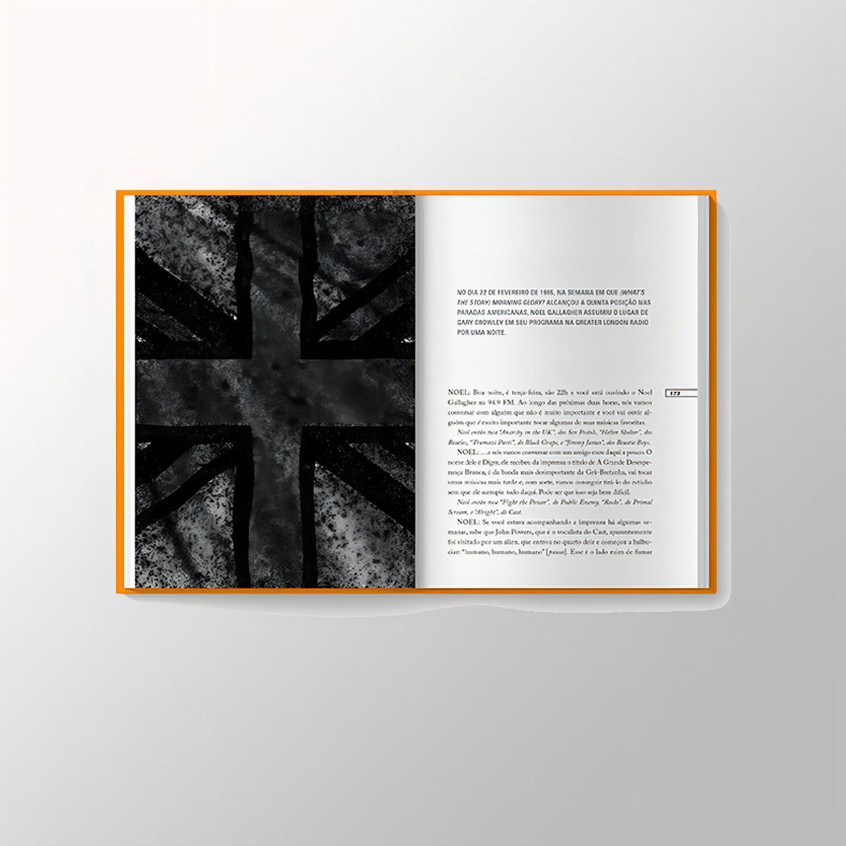 Voando Alto - As Aventuras do Oasis - Edição Especial Limitada Com Brindes