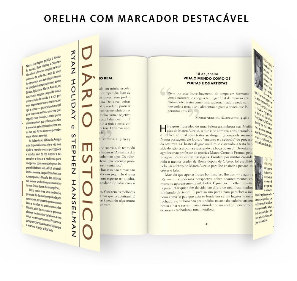 Diário Estoico - 366 Lições Sobre Sabedoria, Perseverança e a Arte De Viver