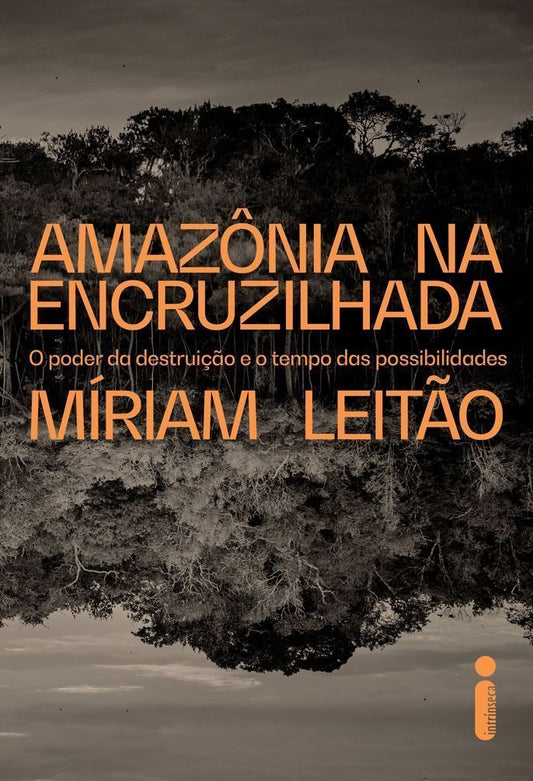 Amazônia na Encruzilhada - O Poder da Destruição e oTempo Das Possibilidades