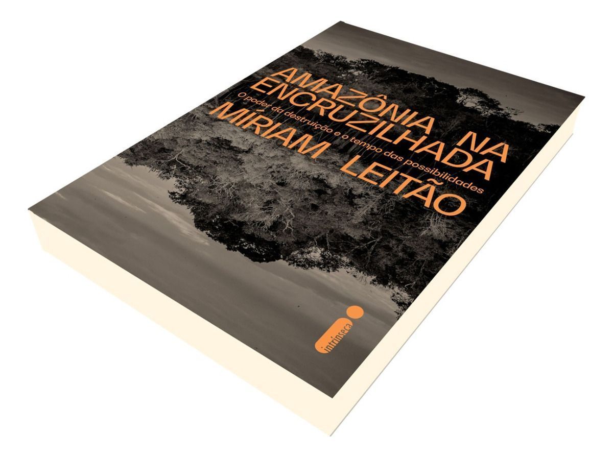 Amazônia na Encruzilhada - O Poder da Destruição e oTempo Das Possibilidades