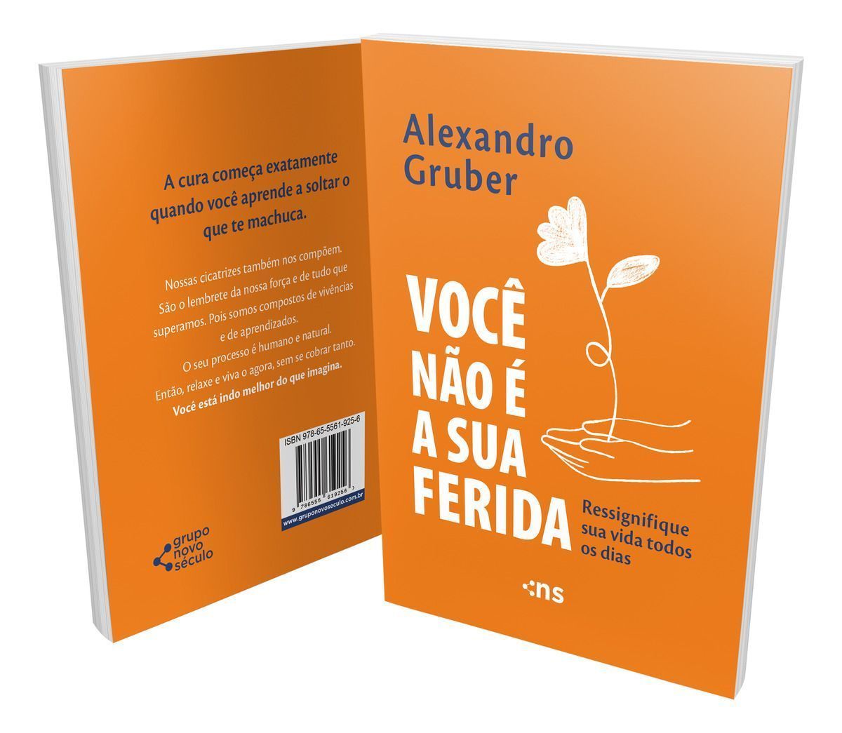 Você Não é a Sua Ferida - Ressignifique Sua Vida Todos os Dias