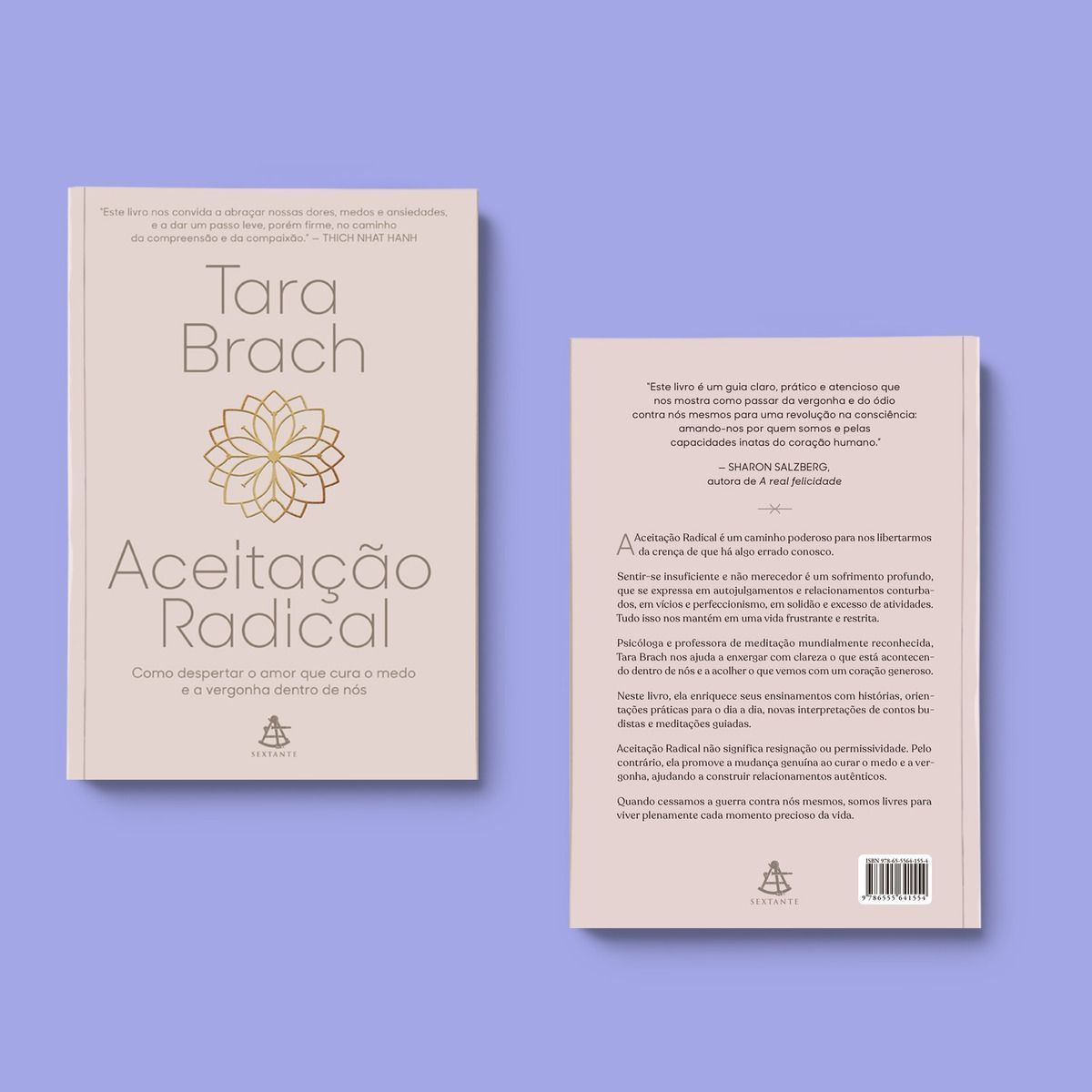 Aceitação Radical