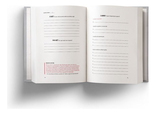 O Planner do Essencialismo - Um Guia de 90 Dias Para Realizar Mais Fazendo Menos