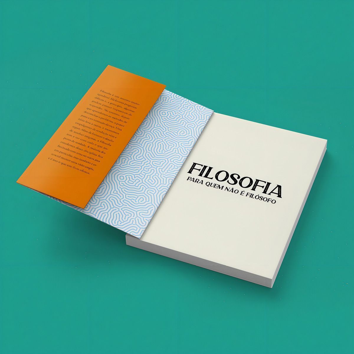 Filosofia Para Quem Não é Filósofo