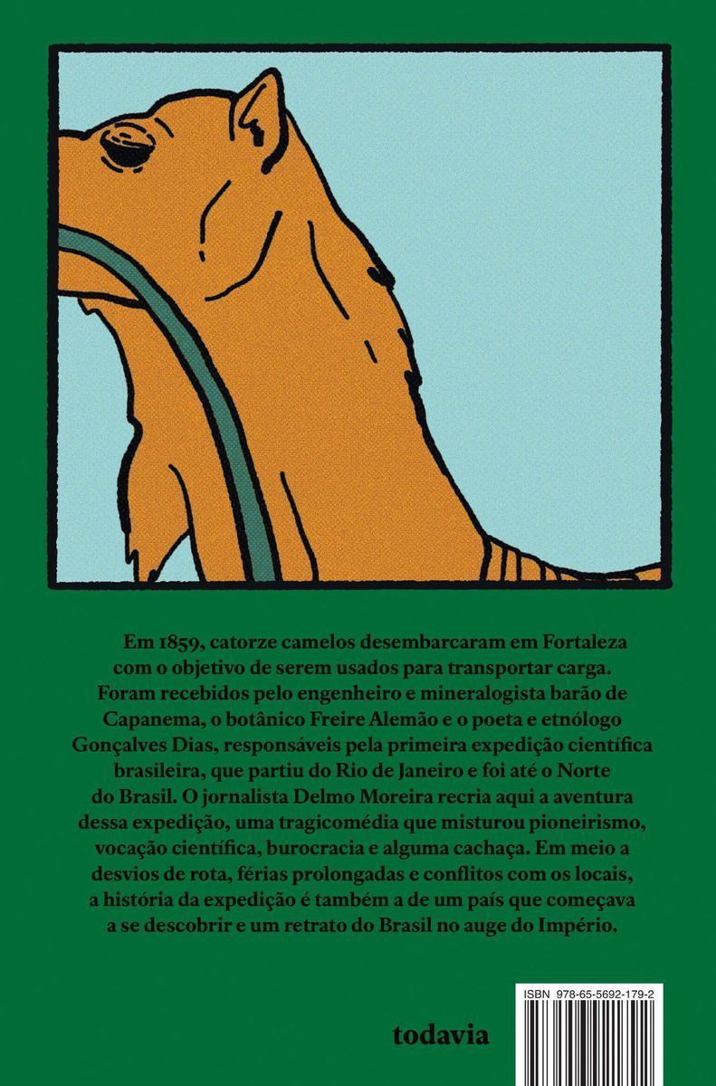 Catorze Camelos Para o Ceará