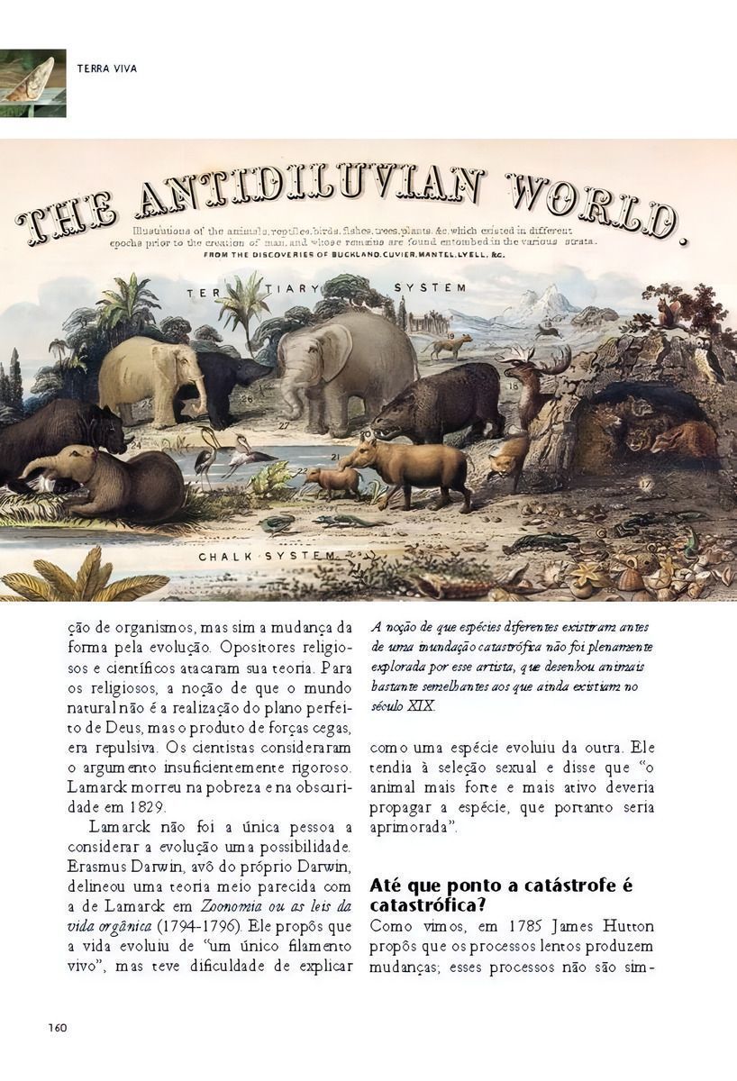 A História Do Planeta Terra