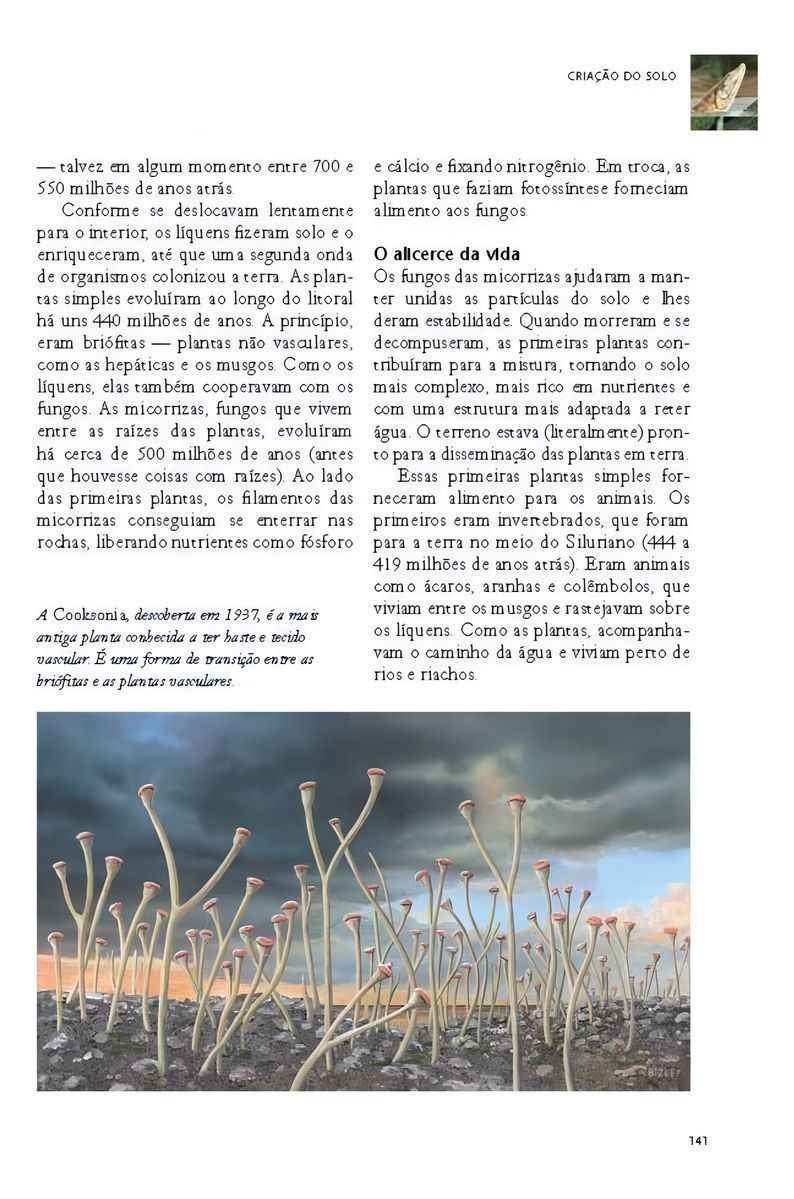 A História Do Planeta Terra