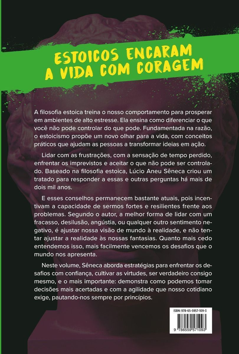 Cartas De Um Resiliente - Livro III - Enfrentar os Desafios Com Confiança e Cultivar as Virtudes