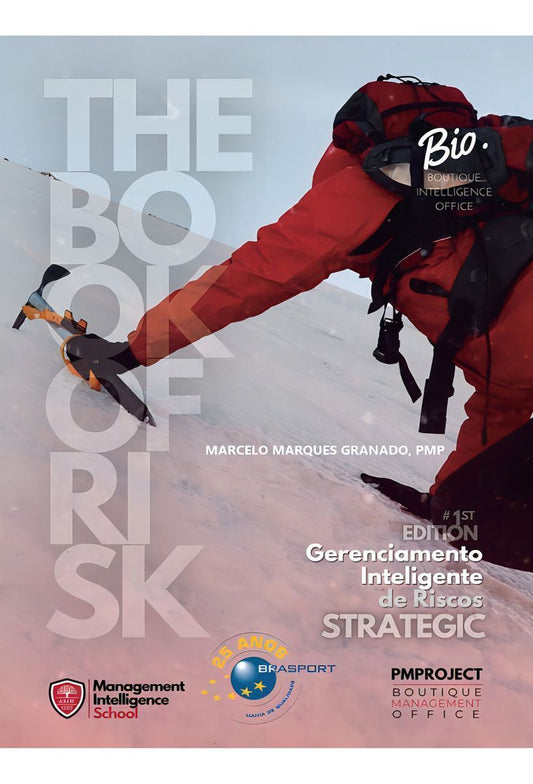 The Book Of Risk - Gerenciamento Inteligente
