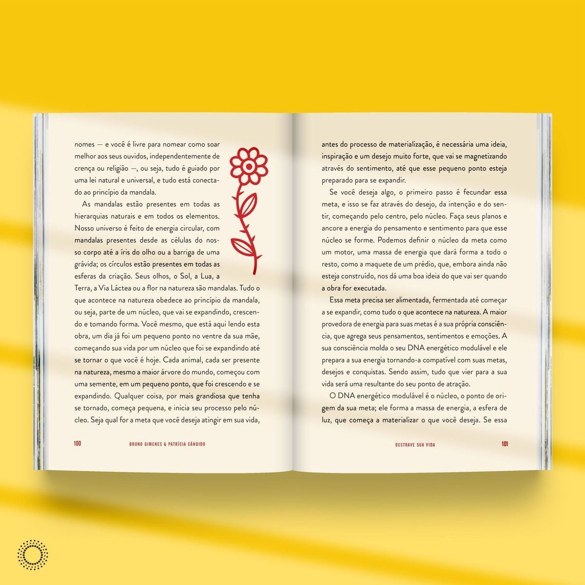 Destrave Sua Vida: Se Você já tem a Vida dos seus Aonhos, Ignore este Livro.