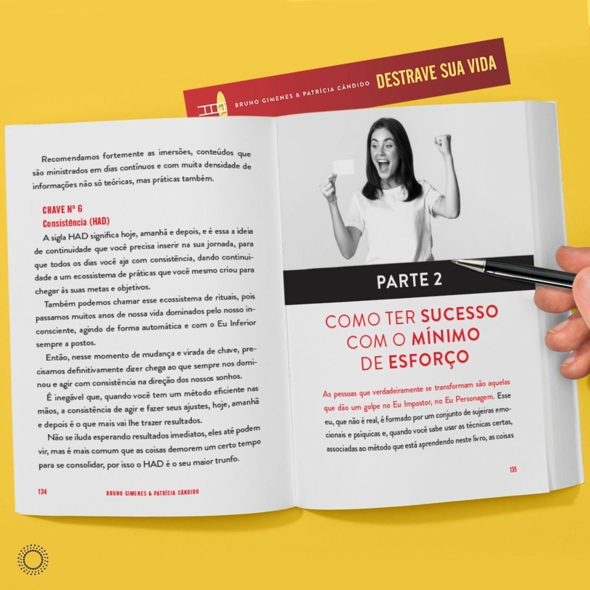 Destrave Sua Vida: Se Você já tem a Vida dos seus Aonhos, Ignore este Livro.