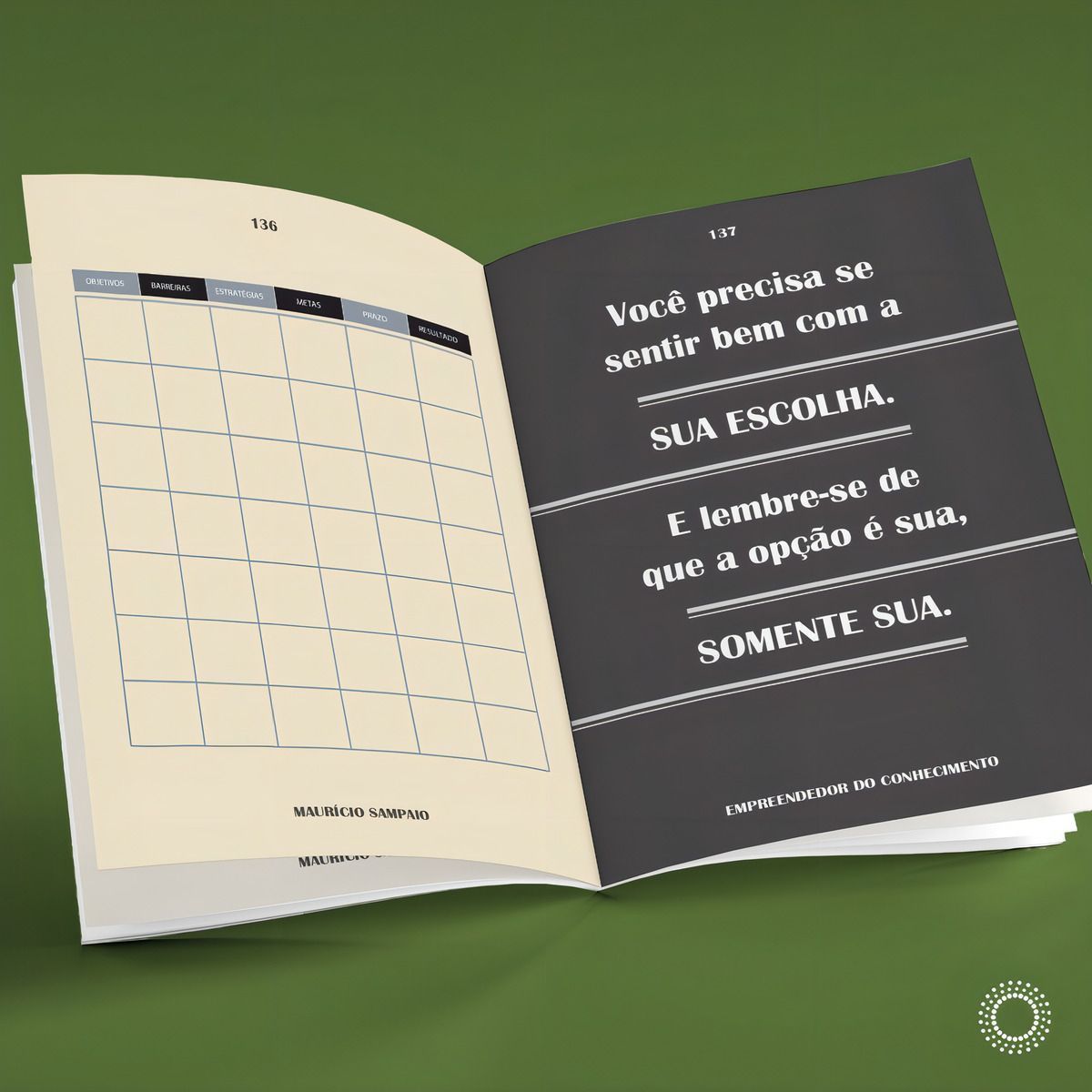 Empreendedor Do Conhecimento - Transforme Sua Experiência De Vida Em Uma Carreira Promissora