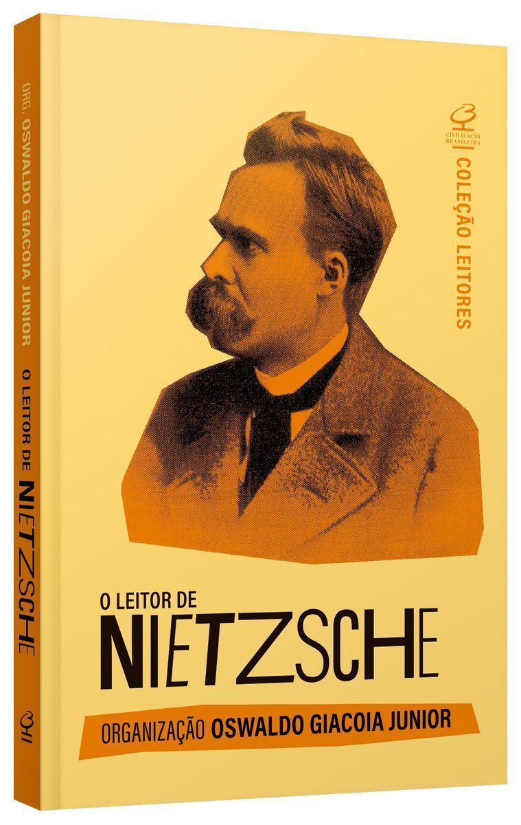 O Leitor De Nietzsche
