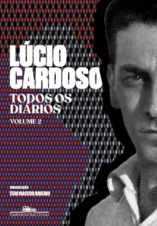 Todos os Diários - Volume II