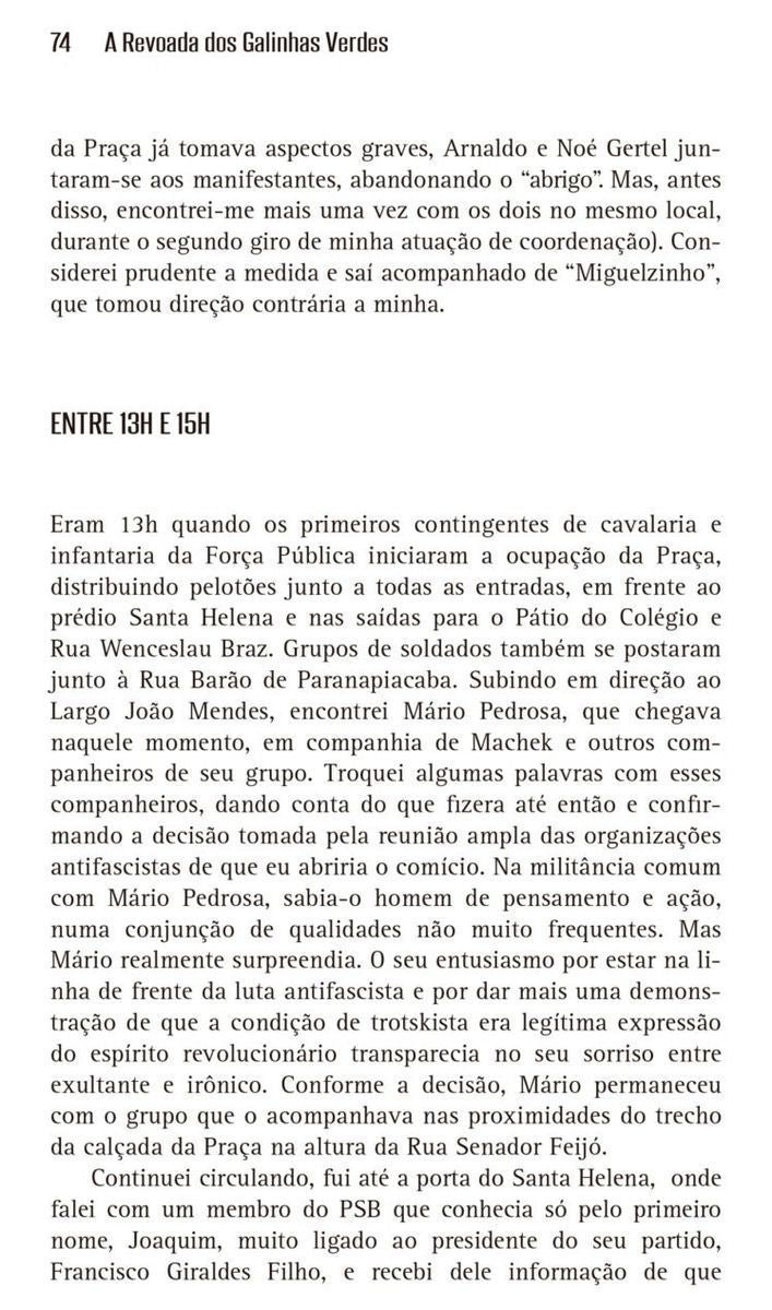 a Revoada Dos Galinhas Verdes