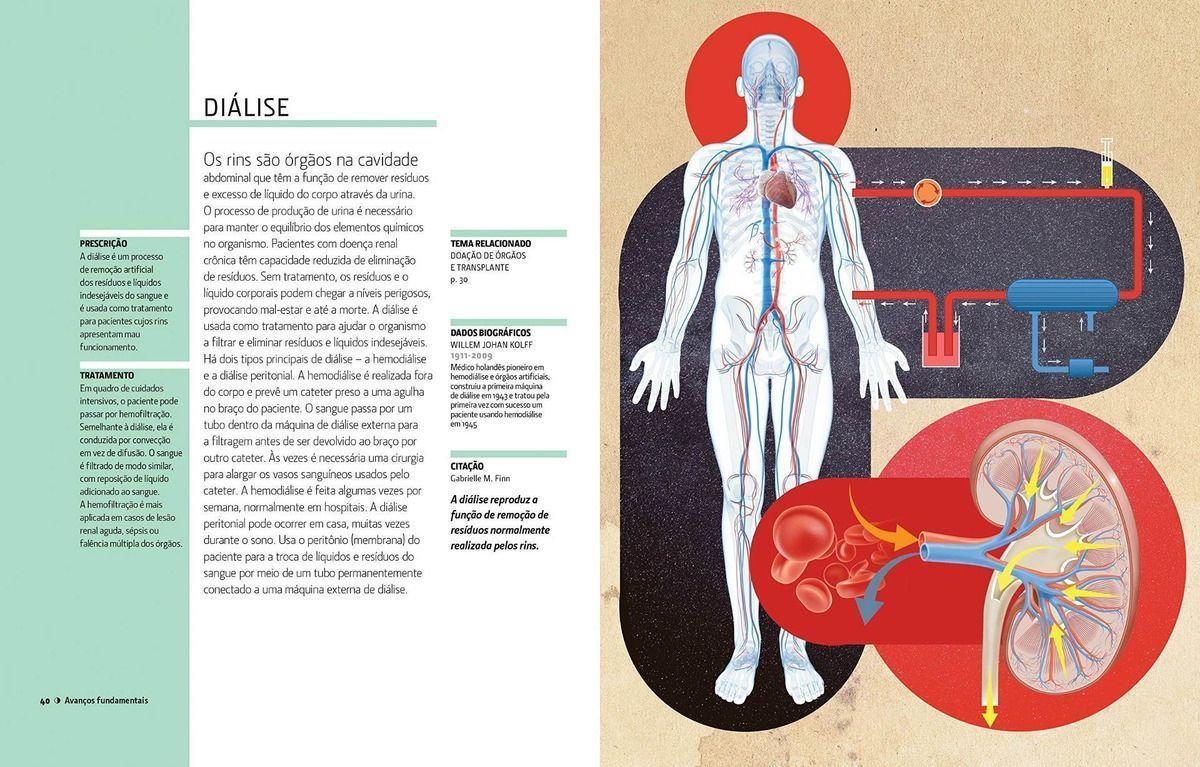 Medicina - 50 Conceitos s Teorias Fundamentais Explicados de Forma Clara e Rápida