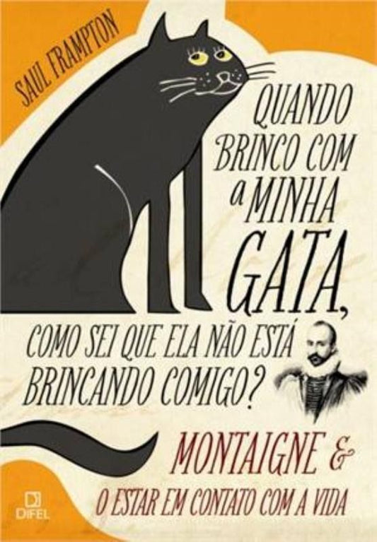 Quando Brinco Com a Minha Gata, Como Sei Que Ela Não Está Brincando Comigo?
