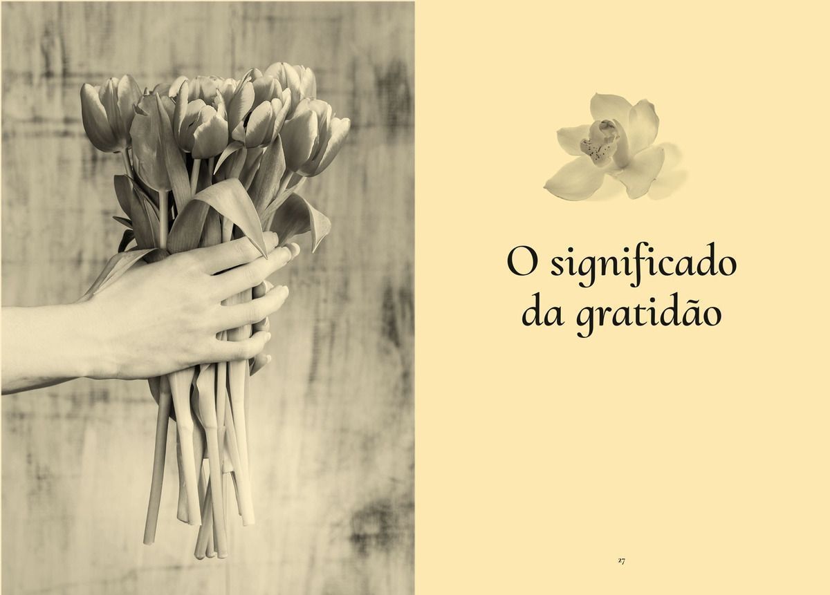 Gratidão Transforma, A